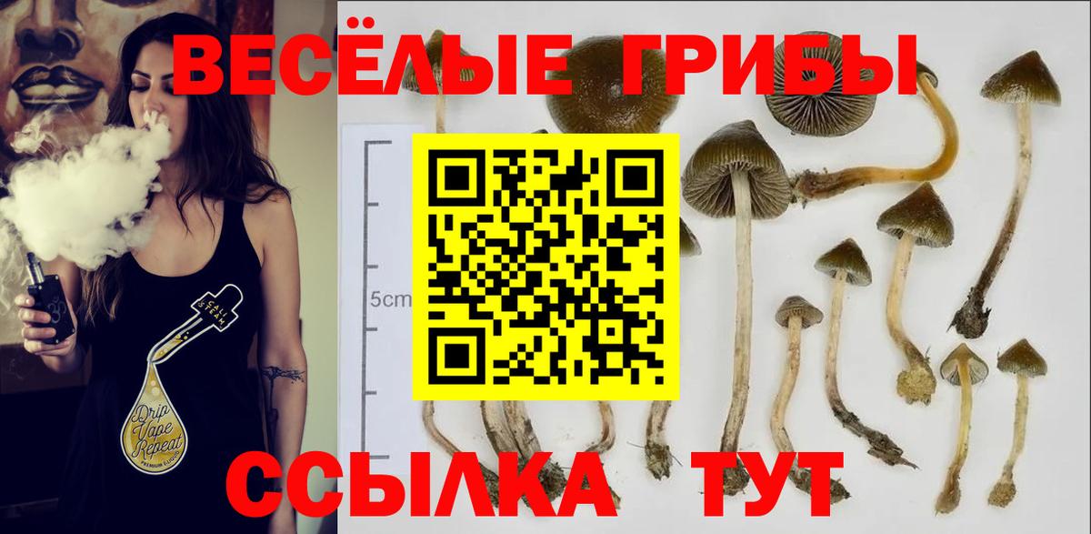 Псилоцибиновые грибы Magic Shrooms Камышлов